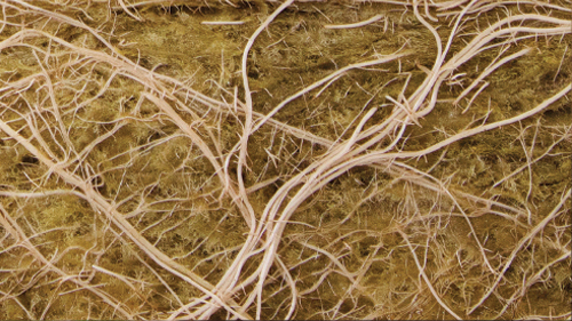 20200416 RW-GR PROD 94